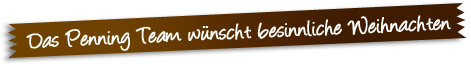 Das Penning Team wünscht besinnliche Weihnachten